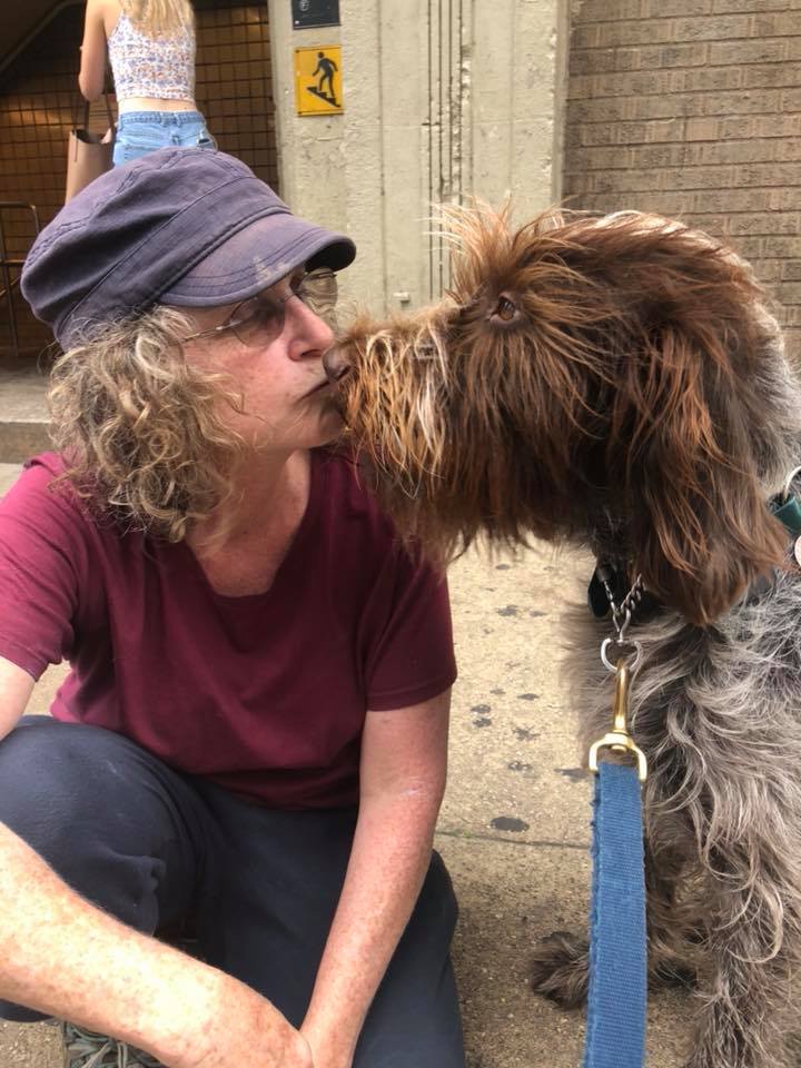 dog walking in Kensington and Windsor terrace
